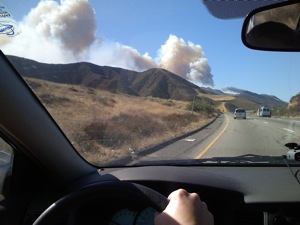 California Fire Grapevine