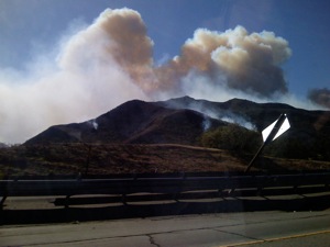 Grapevine wildfire